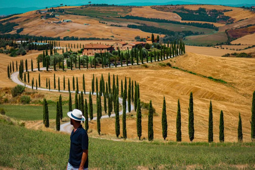 Dirt road lined by Cypress trees, Agriturismo Baccoleno
